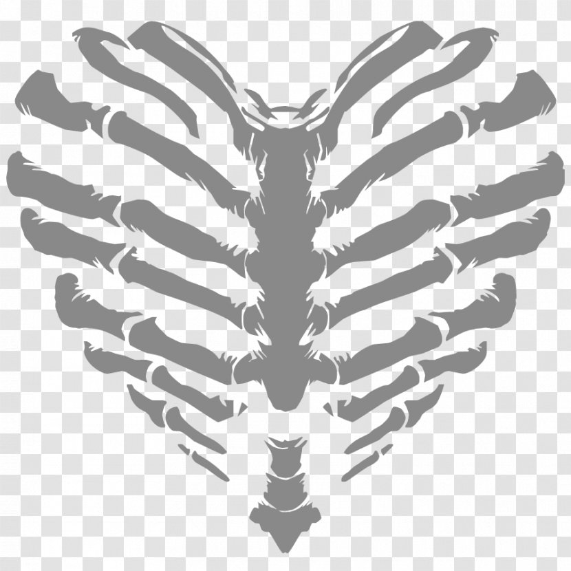 T-shirt Human Skeleton Heart Rib Cage - Silhouette - Vector Transparent PNG