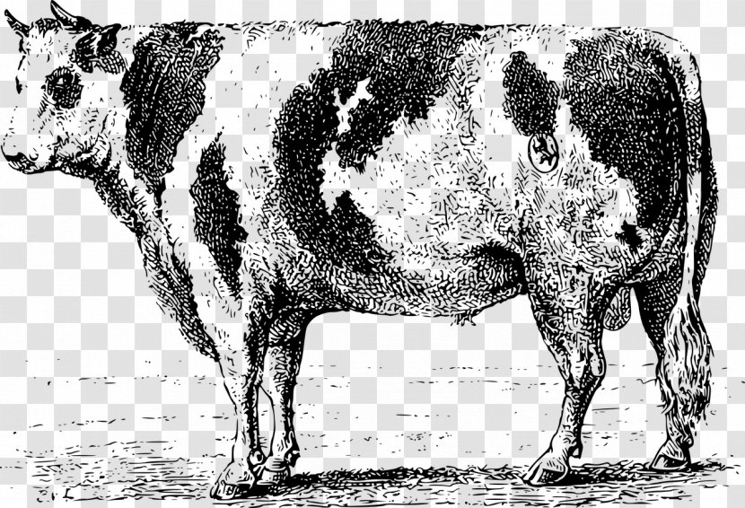 Dairy Cattle Ox Bull Clip Art - Wildlife Transparent PNG