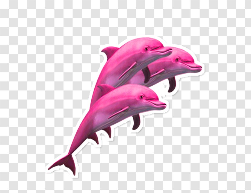 Vaporwave Clip Art Dolphin Porpoise - Aesthetics Transparent PNG