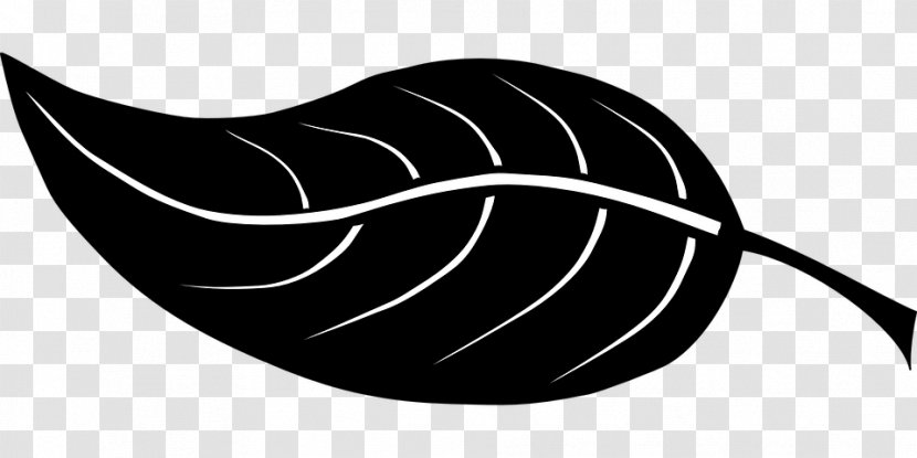 Leaf Clip Art - Black Transparent PNG