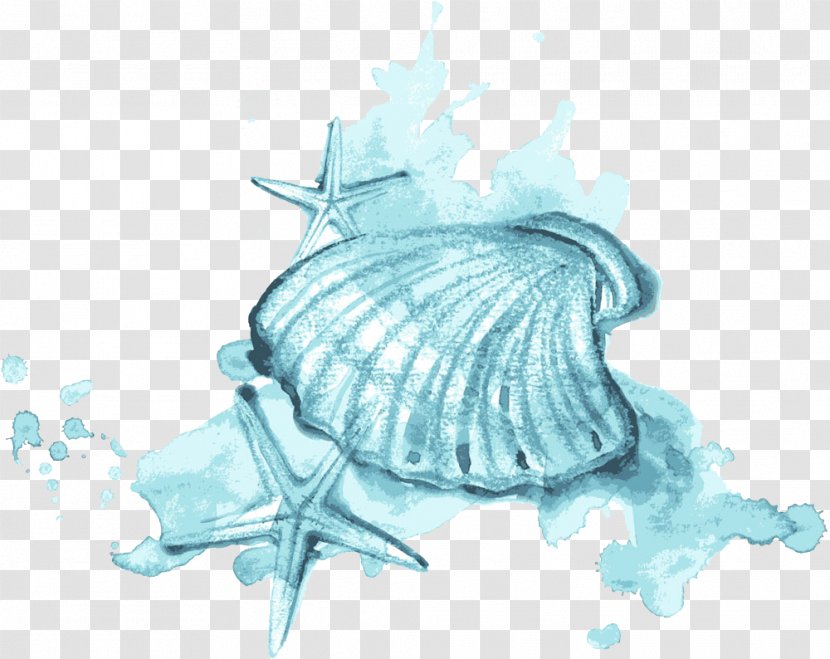 Seashell Watercolor Painting Illustration - Aqua - Blue Shells And Starfish Transparent PNG