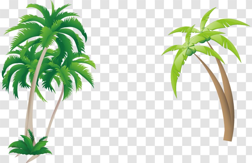 Arecaceae Coconut - Grass - Great Fresh Transparent PNG
