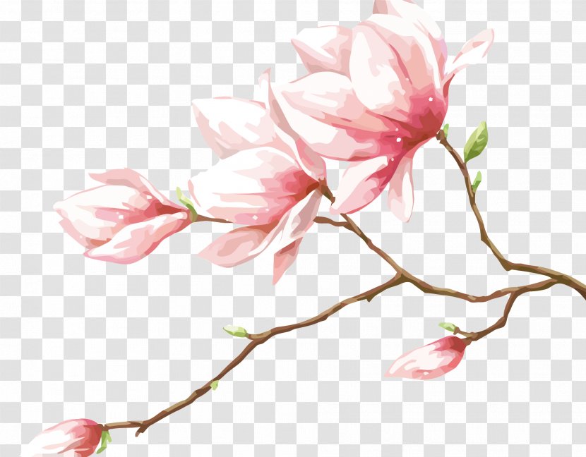 Petal Flower - Blossom - Vector Peach Transparent PNG
