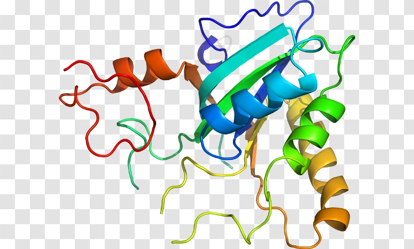 Clip Art Organism Human Behavior - Methionine Synthase Reductase Transparent PNG