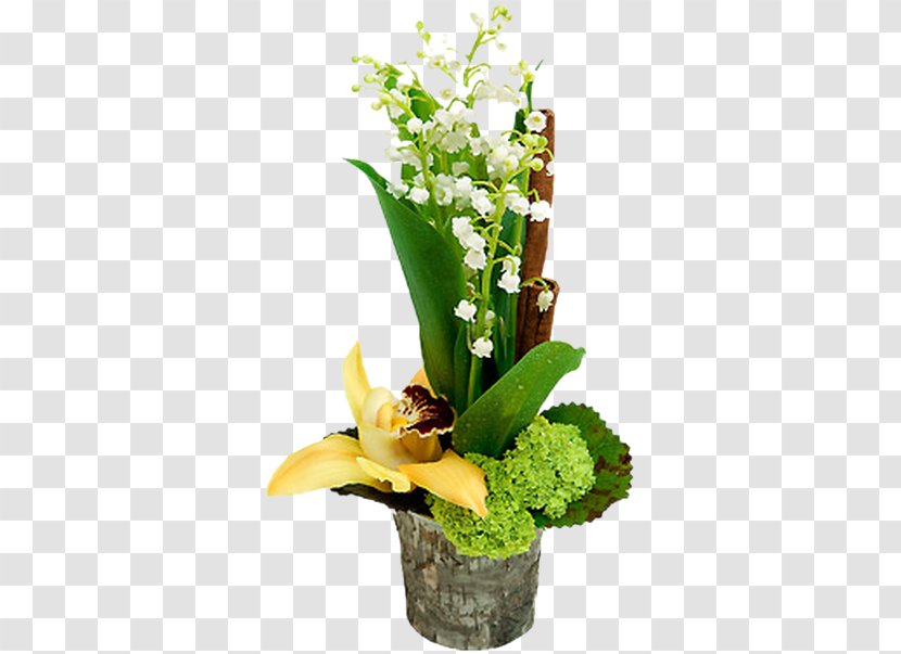 Lily Of The Valley 1 May Blog - Plant Transparent PNG