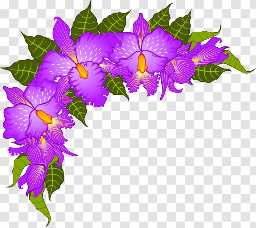 Purple - Herbaceous Plant - Glory Transparent PNG