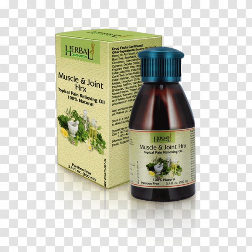 Oil Herbalism Naturopathy Joint Pain - Herbal Transparent PNG