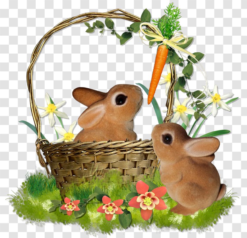 Easter Bunny Hare Domestic Rabbit - Blog Transparent PNG