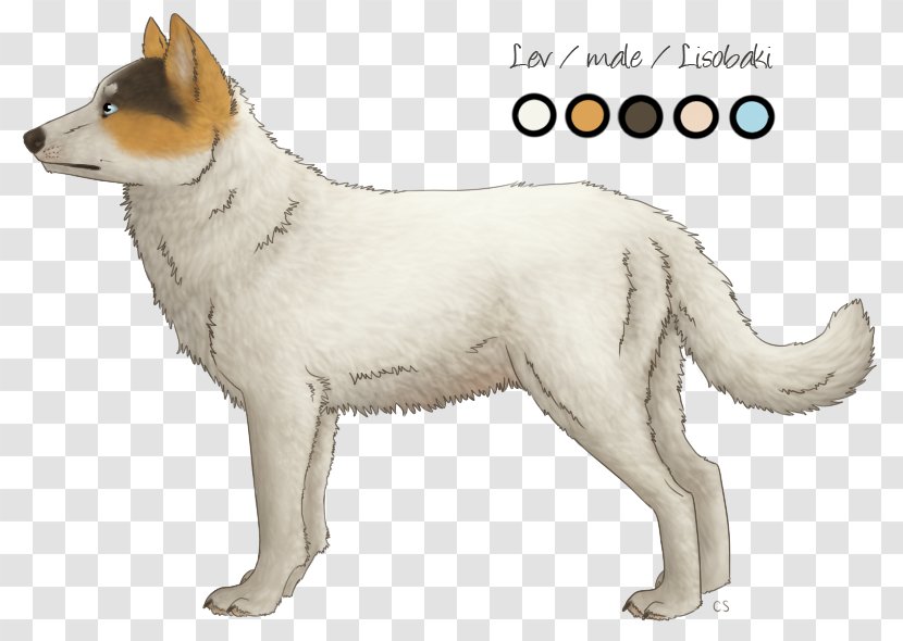 Saarloos Wolfdog White Shepherd Czechoslovakian Canaan Dog Norwegian Buhund - Kishu - West Siberian Laika Transparent PNG