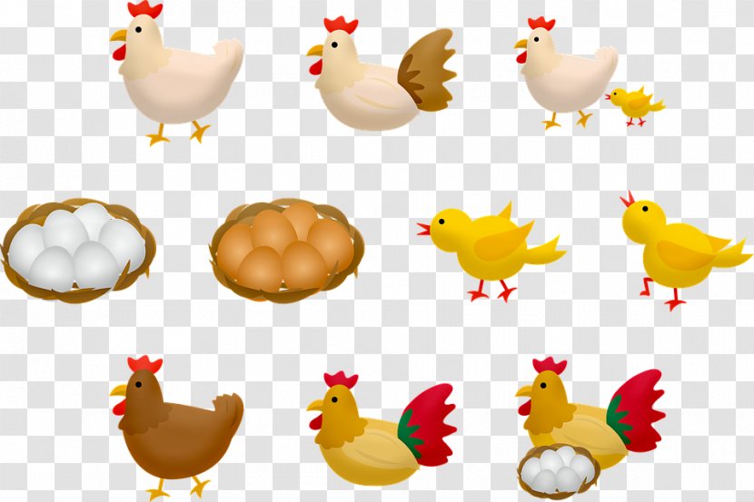 Chicken Rooster Stock.xchng Egg Illustration Transparent PNG