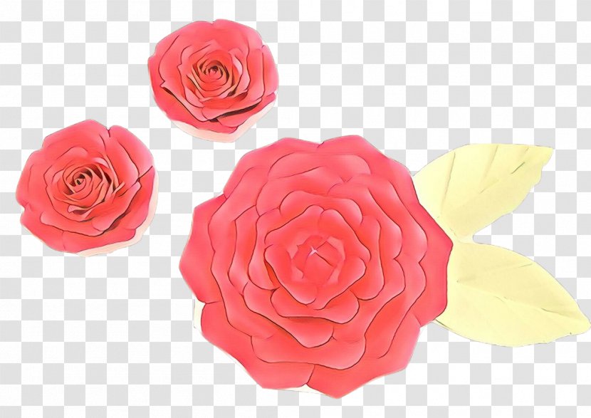 Garden Roses - Rose - Order Yellow Transparent PNG