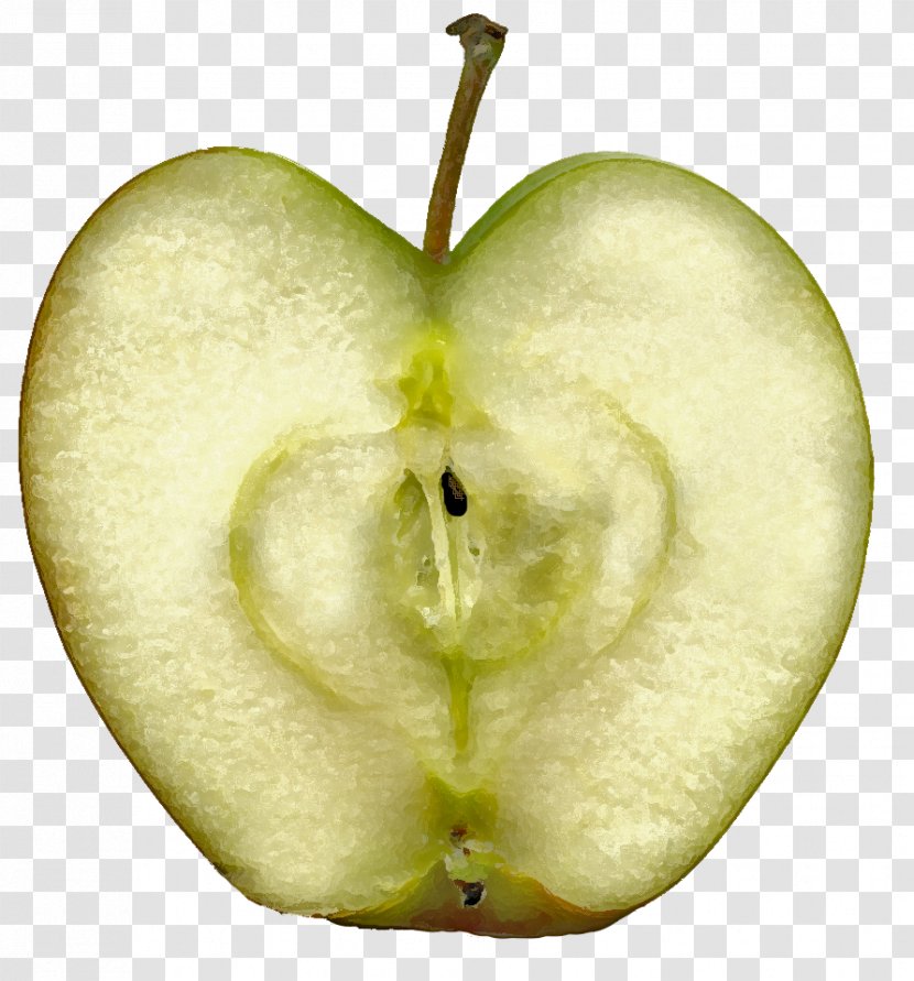 Apple IPhone Dagen Zonder Honger Clip Art - Green Slice Transparent PNG