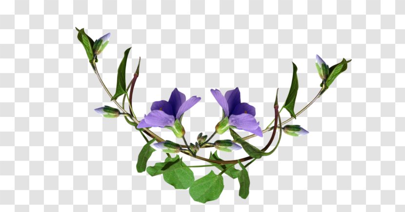 Purple Cut Flowers Mauve Lilac - Color - Twig Transparent PNG
