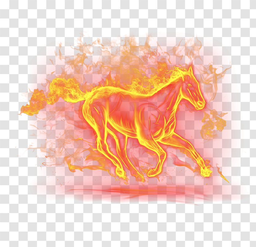 Horse Flame Computer File - Photography Transparent PNG