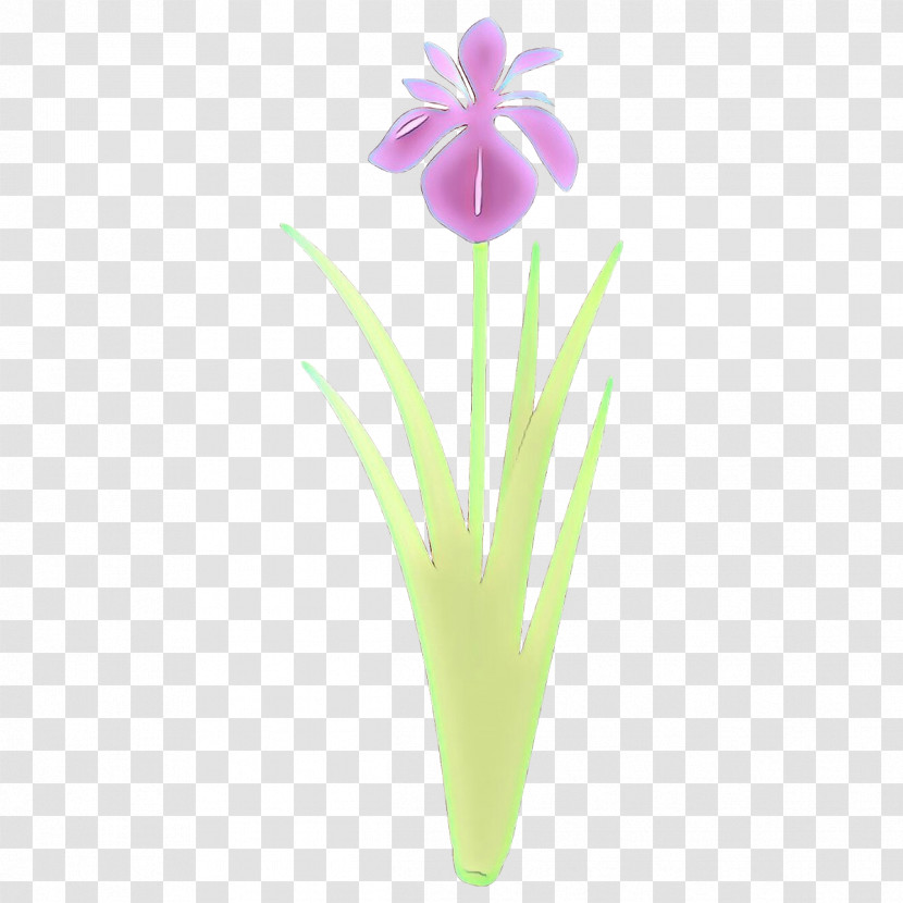 Flower Plant Petal Iris Tulip Transparent PNG