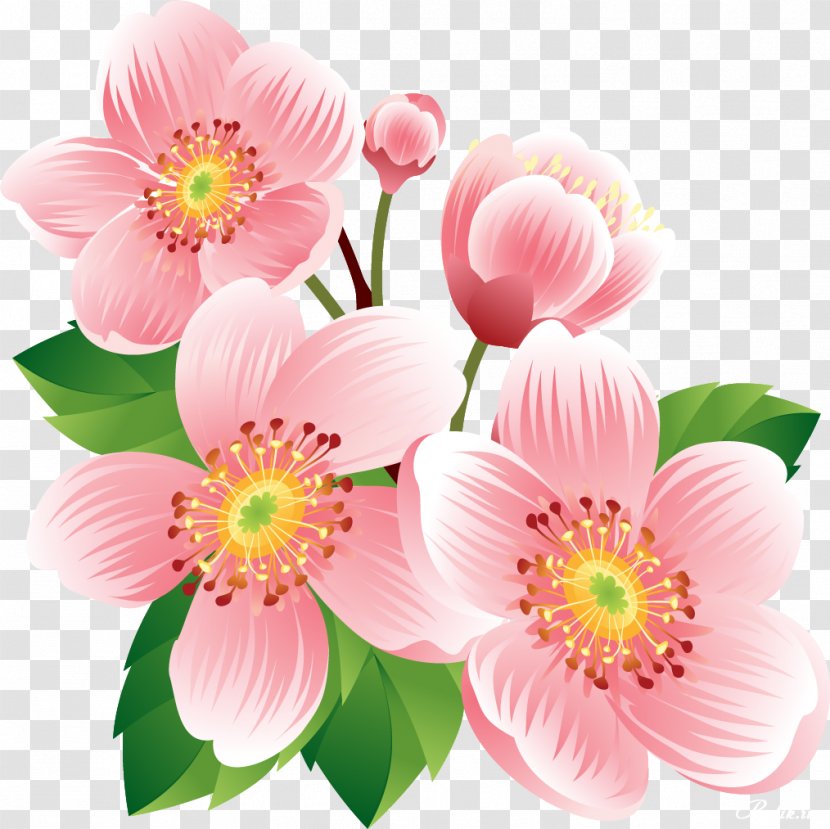 Clip Art Flower Floral Design Illustration Vector Graphics - Arranging Transparent PNG