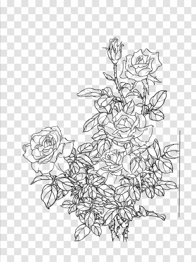 Flower Painting Drawing - White - Flowers Line Artwork Transparent PNG