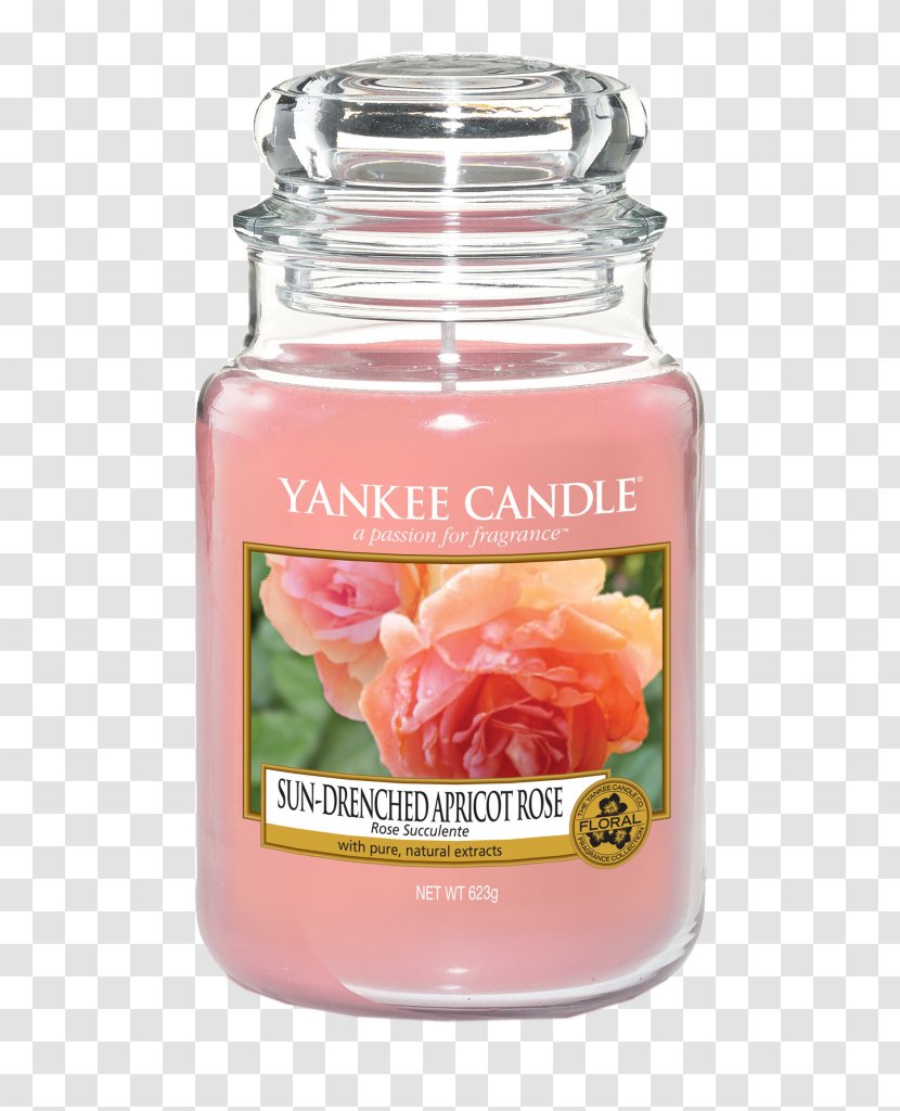 Apricot Yankee Candle Tealight Potpourri - Wick Transparent PNG