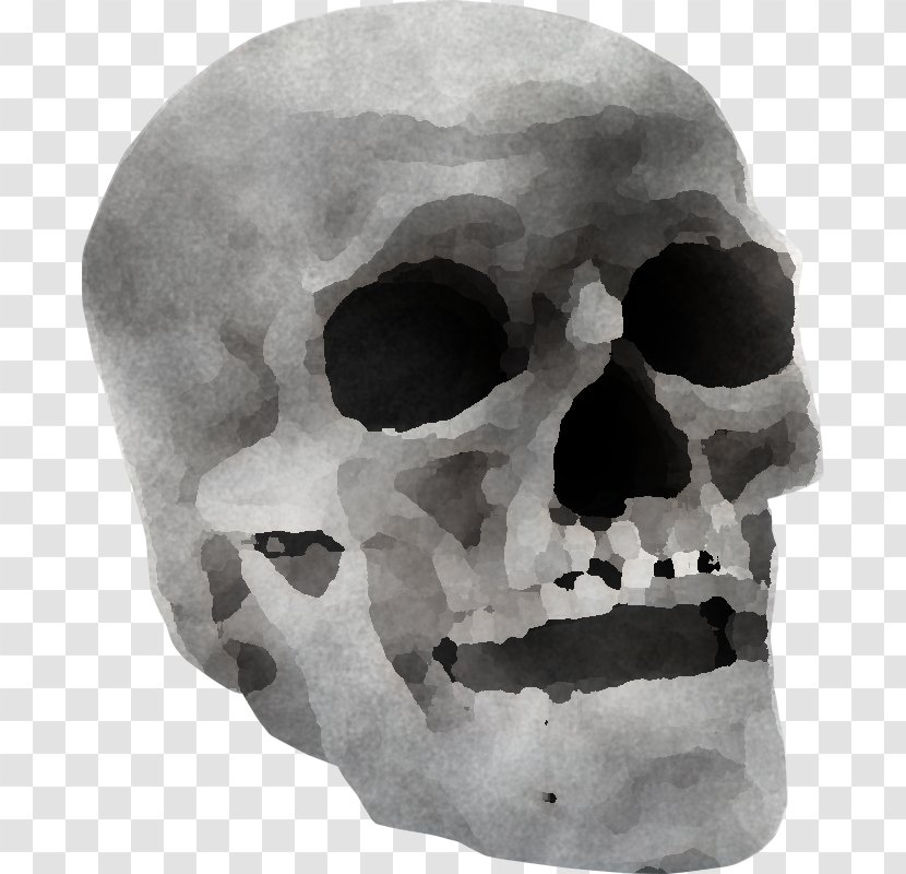 Bone Skull Face Head Jaw - Rock Skeleton Transparent PNG