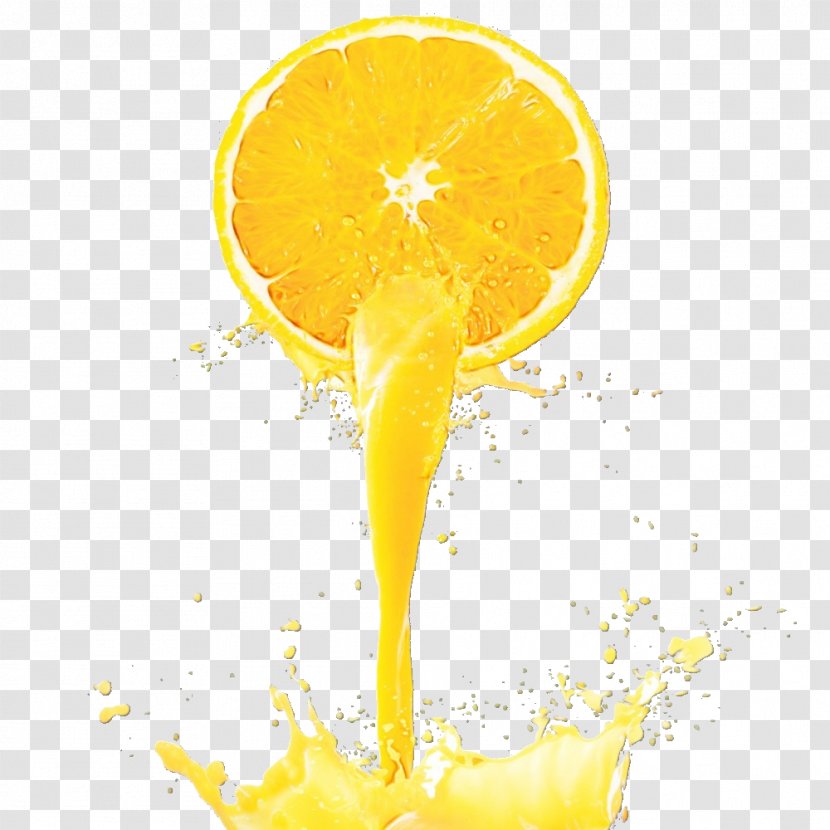 Orange - Citrus - Citric Acid Drink Transparent PNG