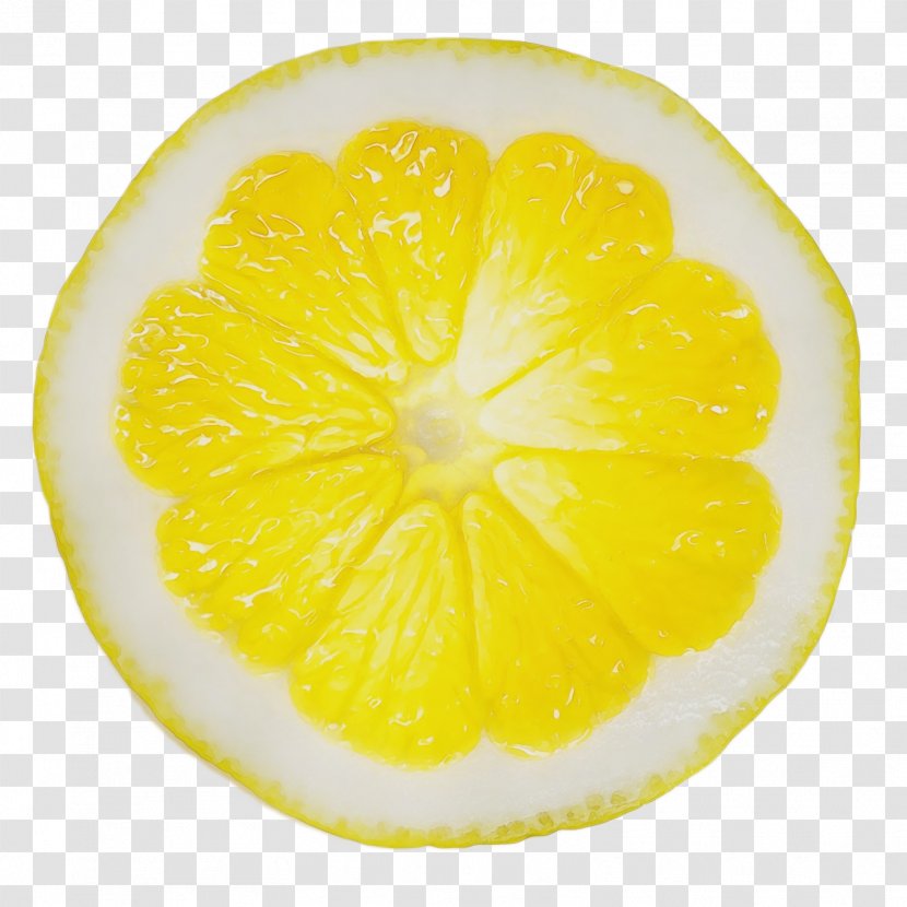Lemon Cartoon - Paint - Lemonlime Meyer Transparent PNG