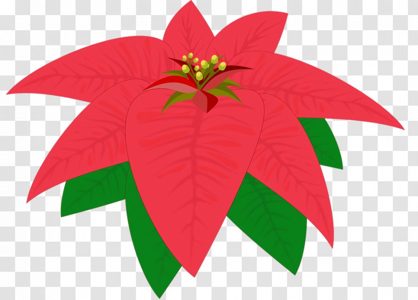 Flower Poinsettia Clip Art - Tree Transparent PNG