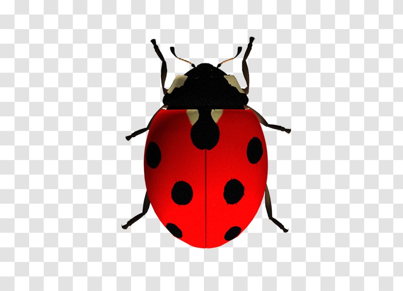 Ladybird Beetle The Ladybug Clip Art - Doctor Who Transparent PNG