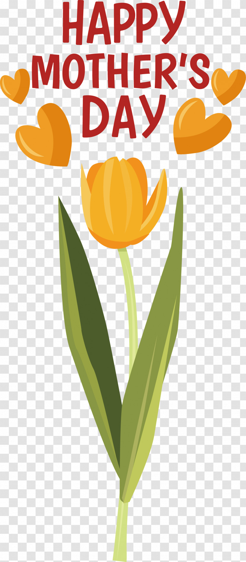 Plant Stem Cut Flowers Tulip Flower Text Transparent PNG