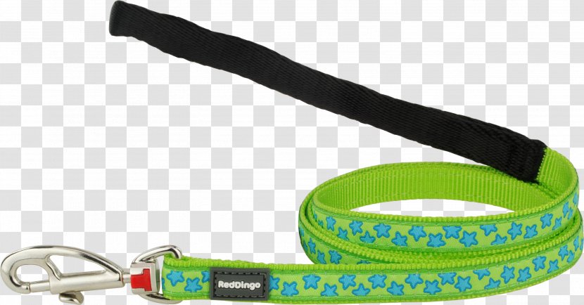 Leash Dog Collar Strap - Citron Vert Transparent PNG