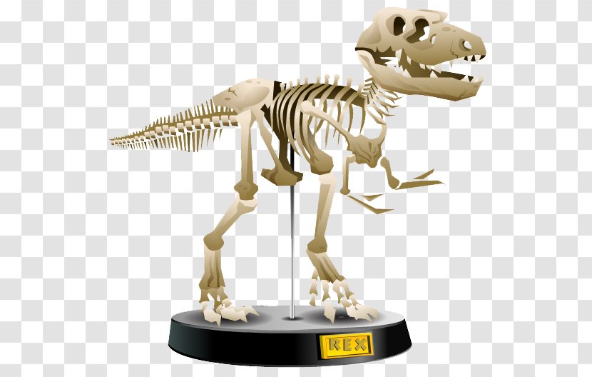 Tyrannosaurus Velociraptor Figurine - Skeleton - Organism Transparent PNG