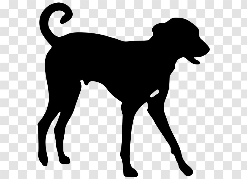 Bulldog Background - Breeds - Working Dog Ancient Transparent PNG