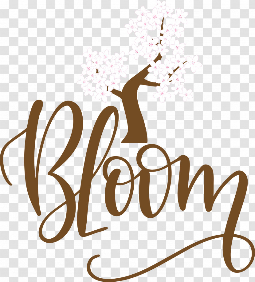 Bloom Spring Transparent PNG