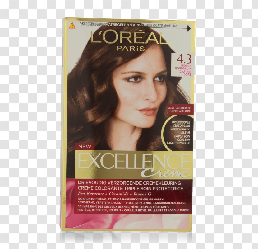 Hair Coloring Brown LÓreal Chestnut Dye - Loreal Transparent PNG