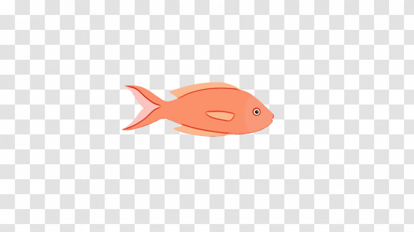 Fish Science Biology Transparent PNG