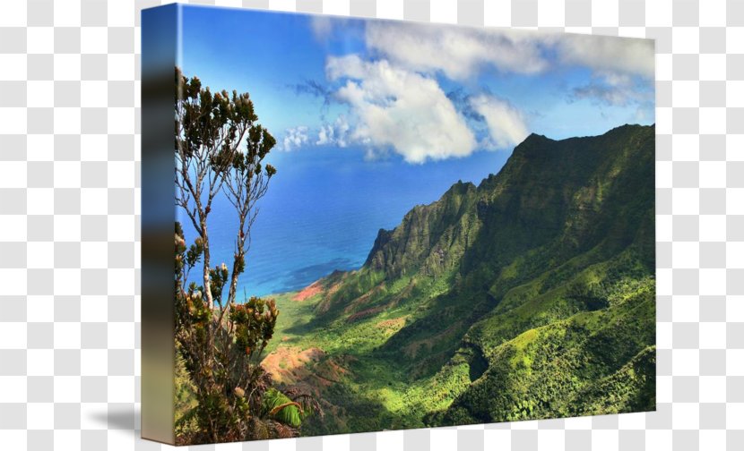 Mount Scenery Kalalau Valley Kōkeʻe State Park Gallery Wrap National - Canvas - Highland Transparent PNG
