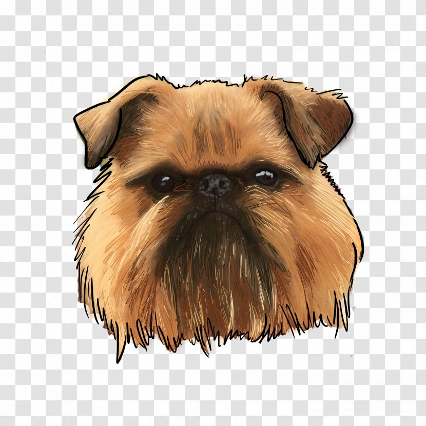 Griffon Bruxellois Affenpinscher Wirehaired Pointing Dog Breed - Chewie Transparent PNG