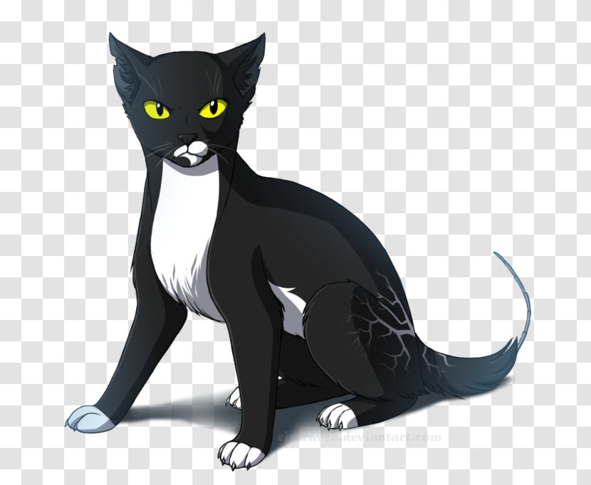 Whiskers Domestic Short-haired Cat Black Cartoon - Shading Decoration Transparent PNG