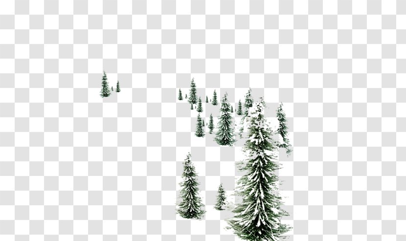 Snowman Desktop Wallpaper Pine Christmas Day - Cypress Family Transparent PNG