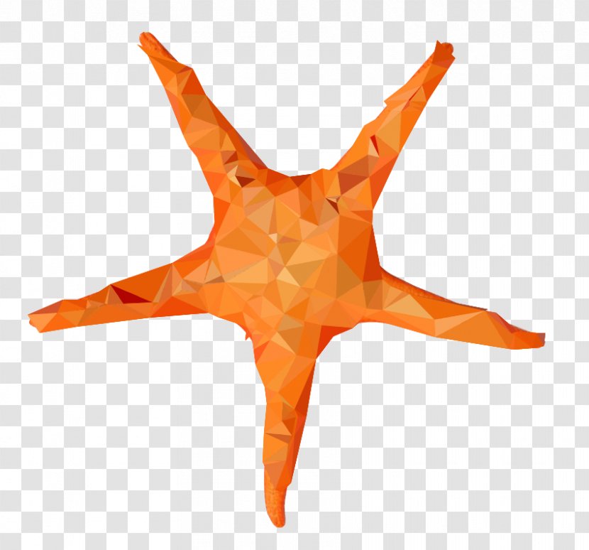Starfish Image Desktop Wallpaper Clip Art - Orange - Echinoderm Transparent PNG