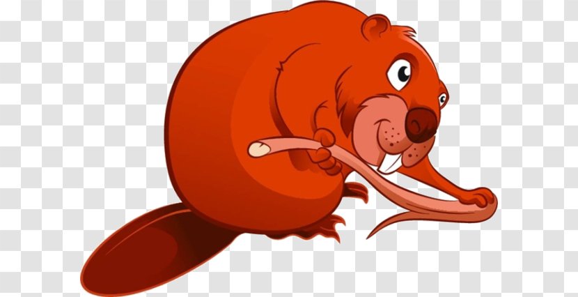 Beaver Rodent Cartoon - Vertebrate - Squirrel Material Transparent PNG