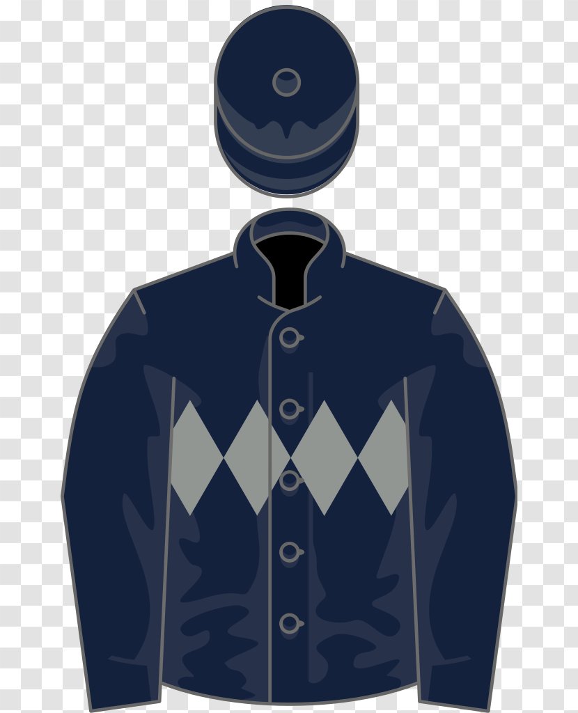 Drawing 2017 Melbourne Cup - Outerwear - Champion Hurdle Transparent PNG
