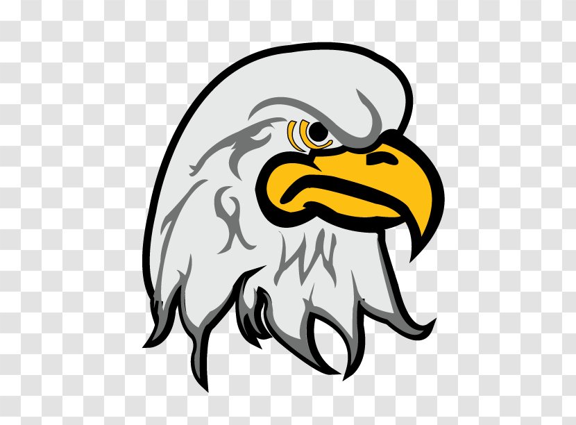 Logo Clip Art - Beak - Eagles Transparent PNG