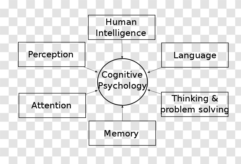 Cognitive Psychology Cognition History Of Psychologist - Information - Mental Process Transparent PNG