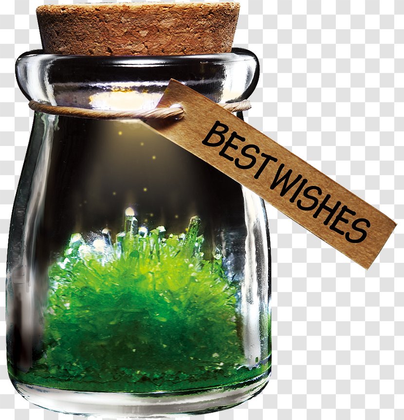 Light Grow Your Own Crystals Glass Jar - Green Transparent PNG