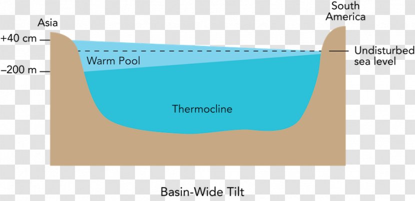 Pacific Ocean Oceanic Basin Thermocline Sea - Coast - Color Level Diagram Transparent PNG