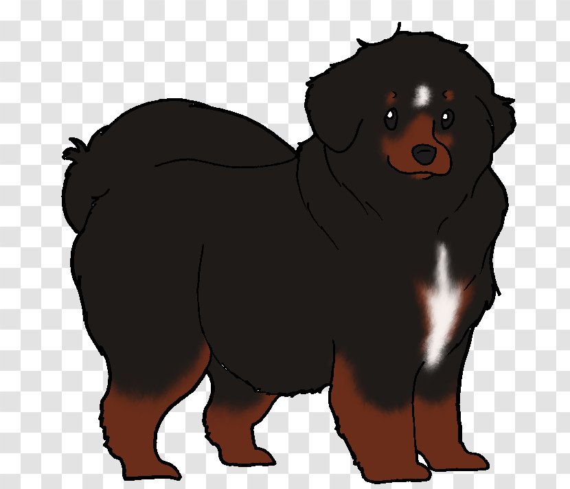 Rottweiler Puppy Dog Breed Snout - Vulnerable Native Breeds - Tibetan Mastiff Transparent PNG