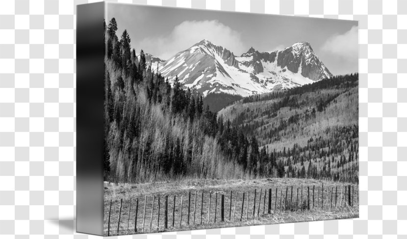 Black And White Gallery Wrap Photography - Landscape - Rocky Mountain Transparent PNG