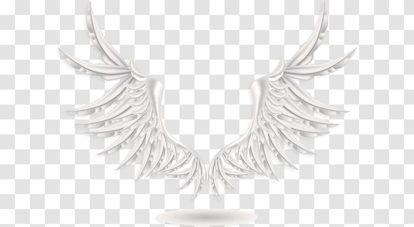 Wing Photography - Shutterstock - Fantasy Wings Transparent PNG