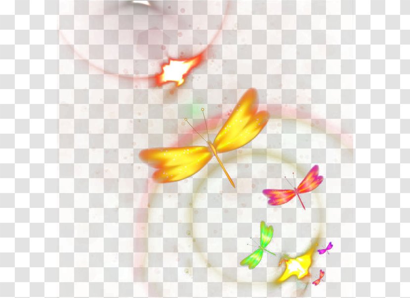 Yellow Petal Close-up Pattern - Wing - Colorful Butterfly Transparent PNG