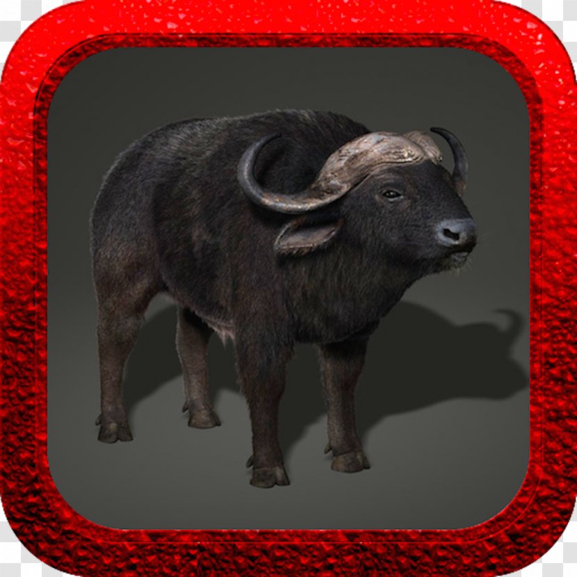 Bison Simulation Cattle Muscle Wolf Amazing Bulldog Gray - Organism Transparent PNG